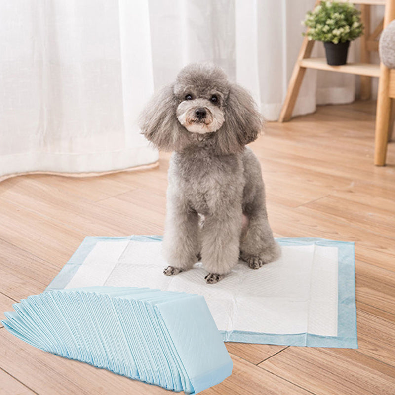 M-Size Disposable Training Pads for Puppies & Cats – 50-Pack, Quick Absorbency