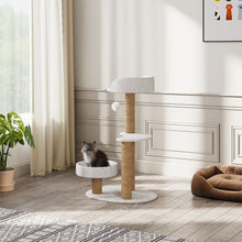 Cat sitting on a multi-level cat tree in a room with a plant and a cushioned pet bed.
