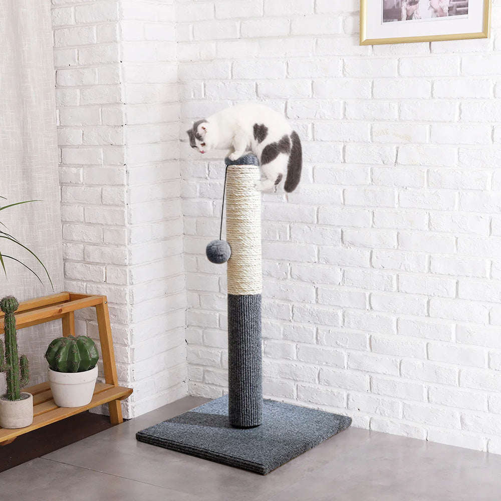 Natural Sisal Cat Scratching Post with Hanging Ball – Stable Base & Fun Design for Indoor Cats