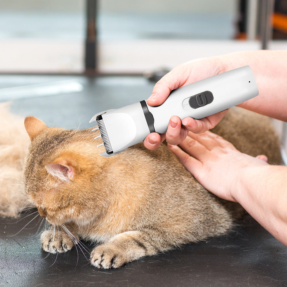 4-in-1 Rechargeable Pet Electric Grooming Clipper Kit – Quiet, USB Rechargeable, Safe & Skin-Friendly Grooming Tools for Pets