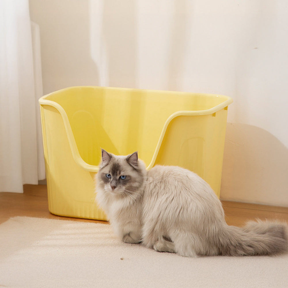 Open Top Cat Litter Box with Scoop – Easy Entry & Spill-Proof Design