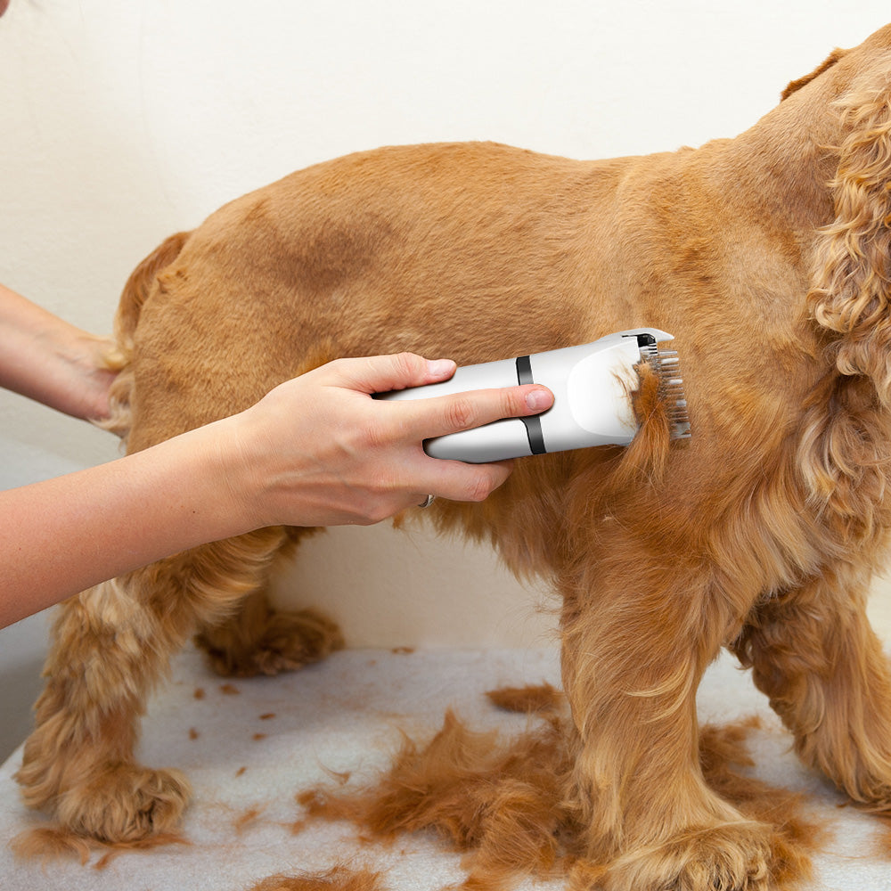 4-in-1 Rechargeable Pet Electric Grooming Clipper Kit – Quiet, USB Rechargeable, Safe & Skin-Friendly Grooming Tools for Pets