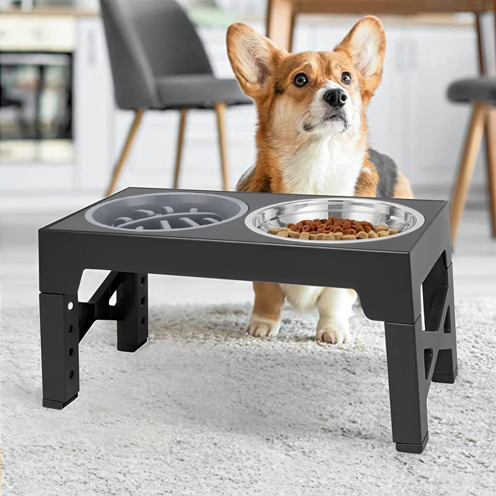 Adjustable Elevated Pet Feeder with Dual Stainless Steel Bowls and Foldable Stand