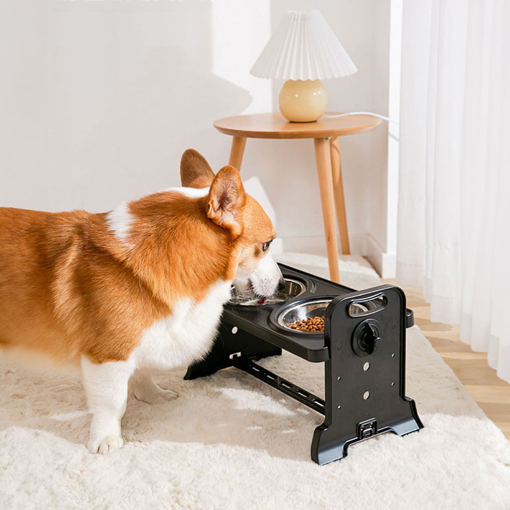 Elevated Pet Feeder with 2 Stainless Steel Bowls – Adjustable Height Stand for Cats and Dogs