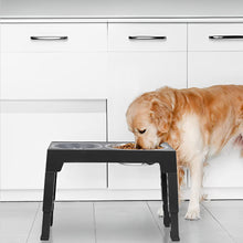 Adjustable Elevated Pet Feeder with Dual Stainless Steel Bowls and Foldable Stand