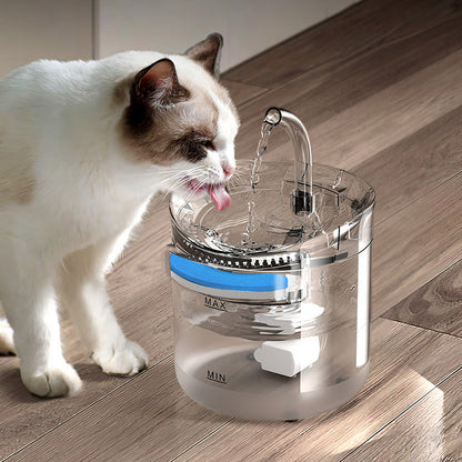 Transparent Automatic Pet Water Fountain – Quiet Circulation with Visible Filtration