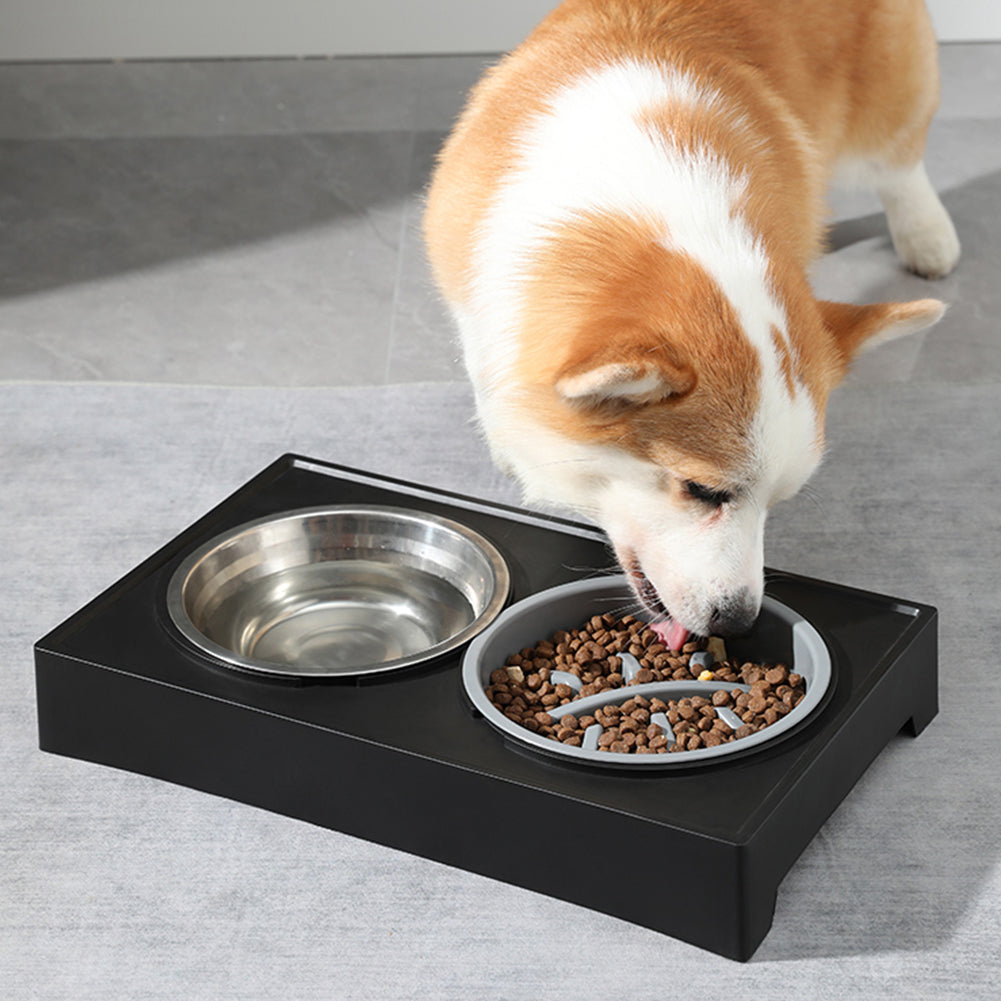 Height Adjustable Elevated Dual-Bowl Pet Feeder – Ergonomic Feeding Stand for Cats and Dogs