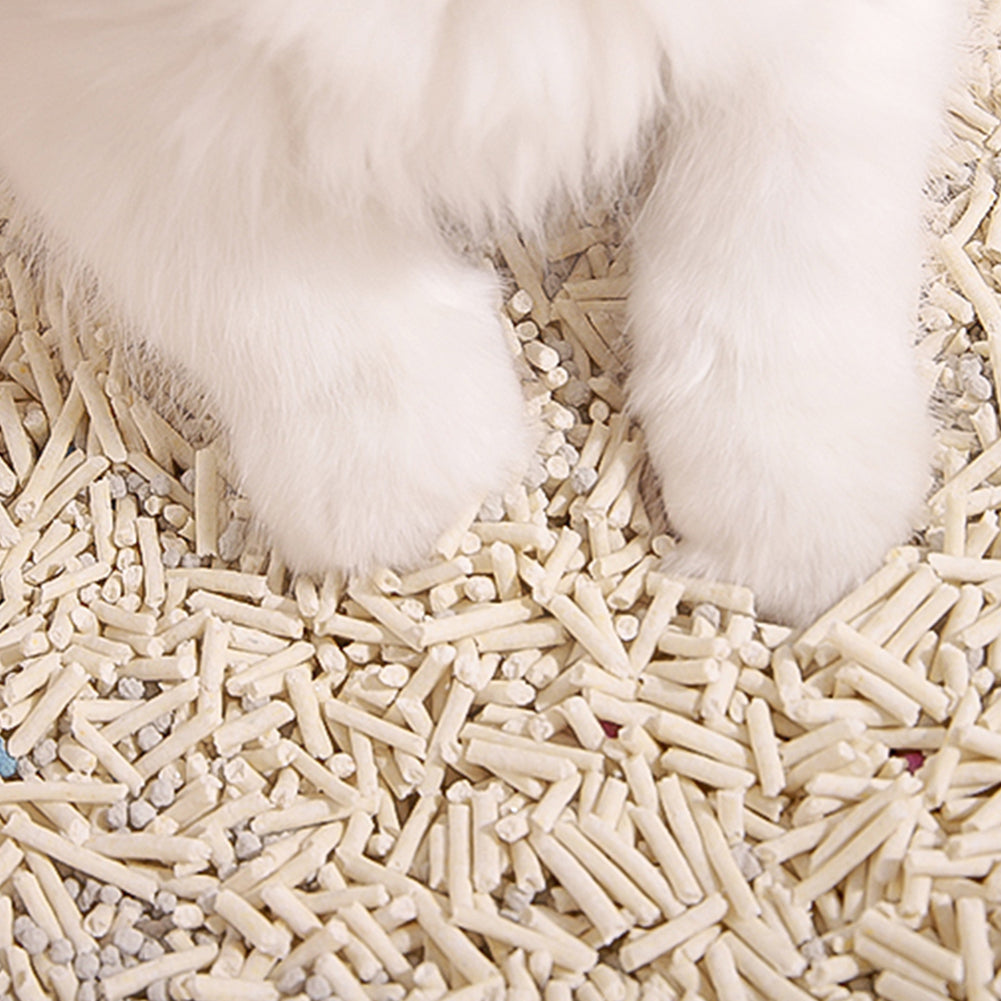 6L Biodegradable Tofu Cat Litter – Odour Control & Easy Cleanup, Soft Clumping, Eco-Friendly