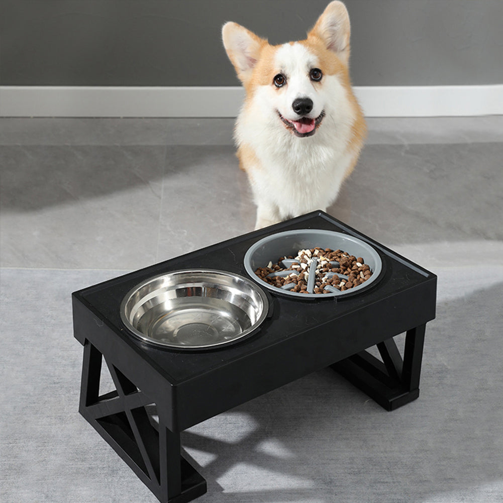 Dog standing next to a black elevated pet feeder with two bowls on a gray floor.