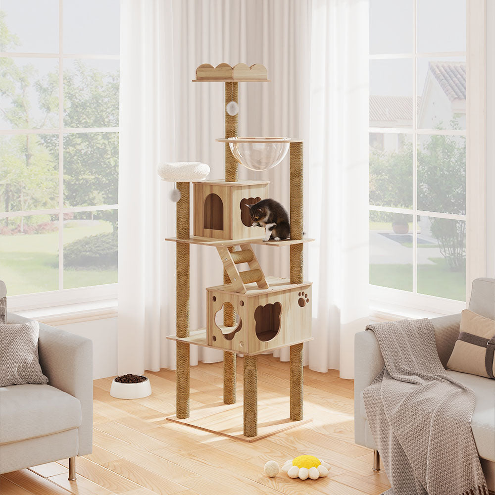 Cat Tree with Perches, Condo & Acrylic Capsule – Sturdy MDF Structure with Hemp Rope Posts – Ideal for Active Cats