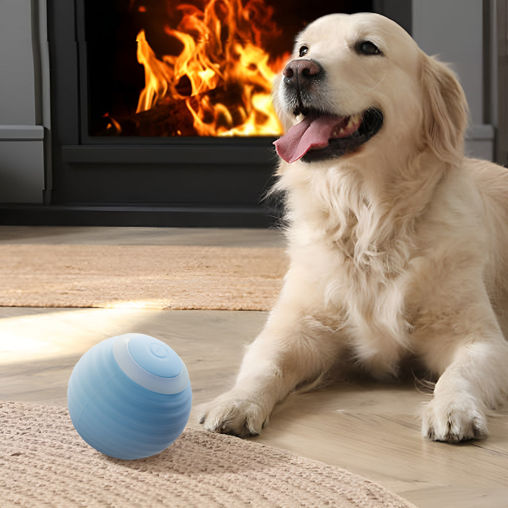 2Pcs Rechargeable Interactive Cat Toy Balls – Smart, Obstacle-Avoidance, LED Light-Up Fun