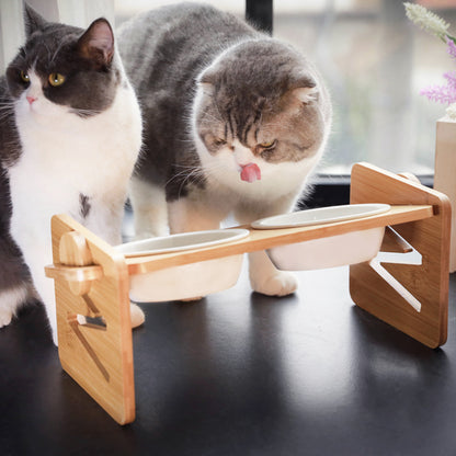 Height Adjustable Pet Feeder with Ceramic Bowl – Ergonomic & Comfortable Dining for Pets