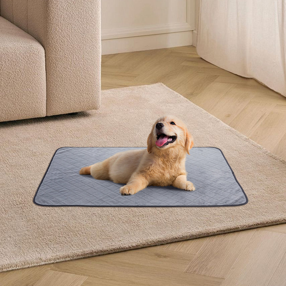 Washable & Reusable Pet Pee Pad – Non-Slip, Super Absorbent, Home & Travel Friendly