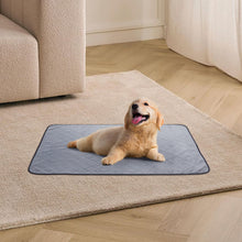 Washable & Reusable Pet Pee Pad – Non-Slip, Super Absorbent, Home & Travel Friendly