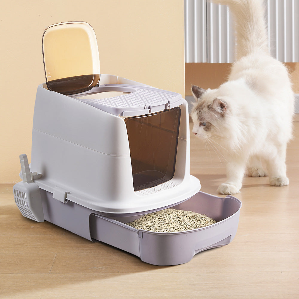 Enclosed Cat Litter Box with Top Deodorizer – Spacious, Odour Control, and Easy to Clean
