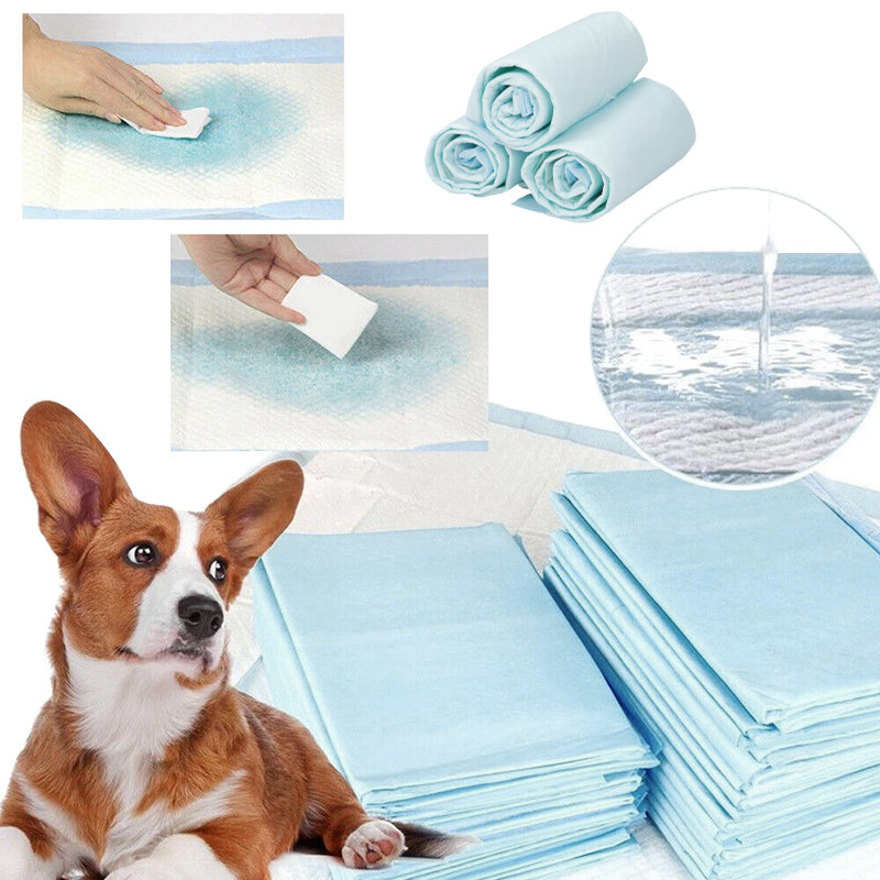 L-Size Disposable Training Pads for Puppies & Cats – 40-Pack, Extra Absorbent