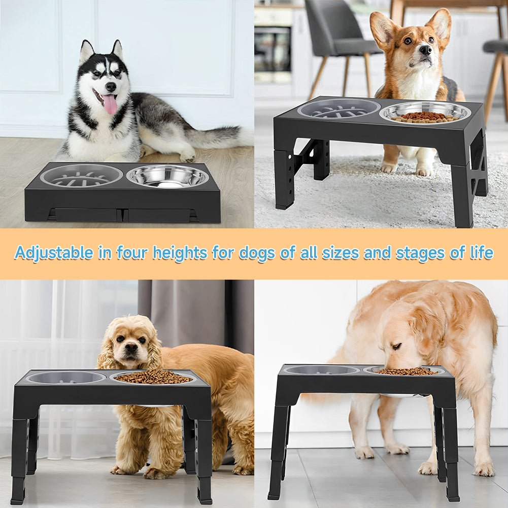 Adjustable Elevated Pet Feeder with Dual Stainless Steel Bowls and Foldable Stand