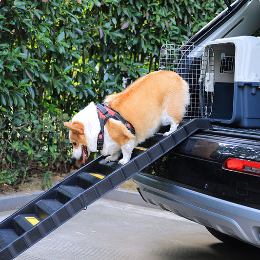 Folding Pet Ramp for Dogs – Lightweight Portable Stairs with Non-Slip Surface and Safety Rails
