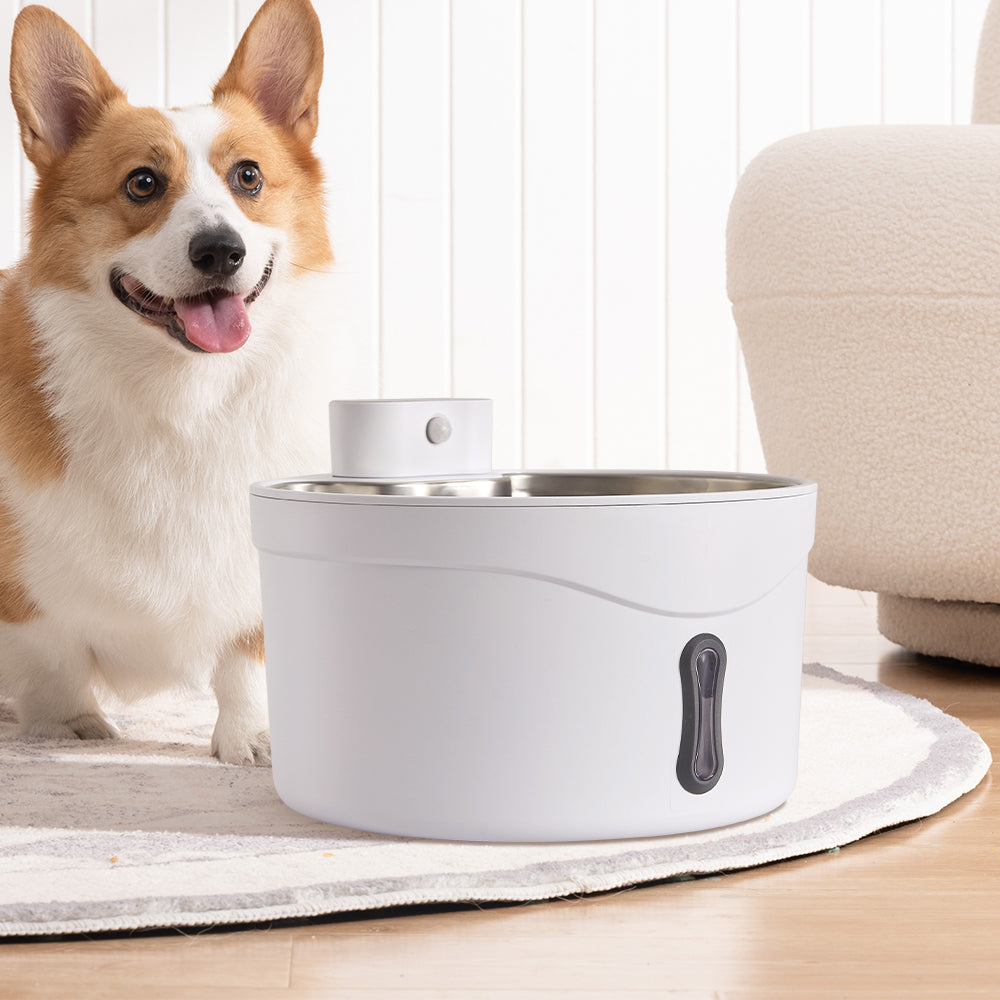 Dog standing next to a white pet water fountain on a wooden floor.
