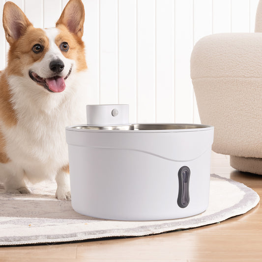 Dog standing next to a white pet water fountain on a wooden floor.