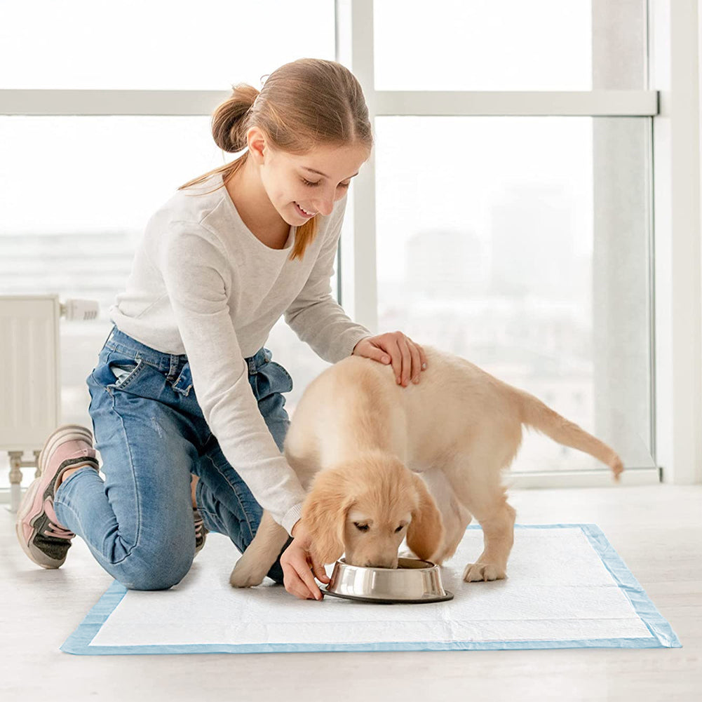 M-Size Disposable Training Pads for Puppies & Cats – 50-Pack, Quick Absorbency