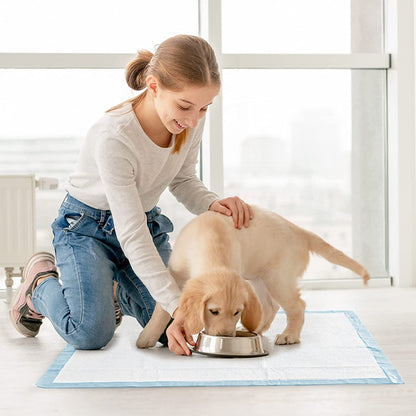 M-Size Disposable Training Pads for Puppies & Cats – 50-Pack, Quick Absorbency