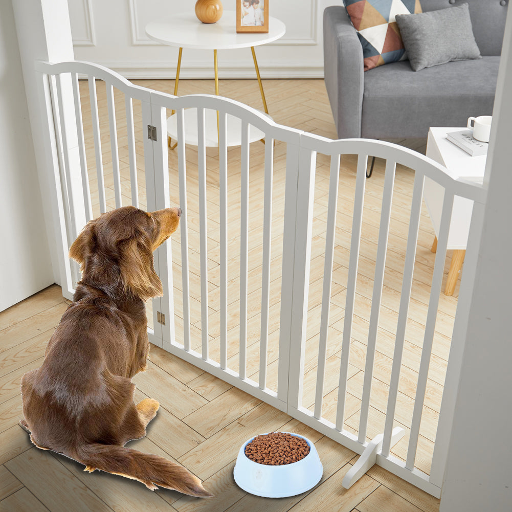 Small dog sitting behind a white wooden pet gate at the hallway entrance, waiting patiently.