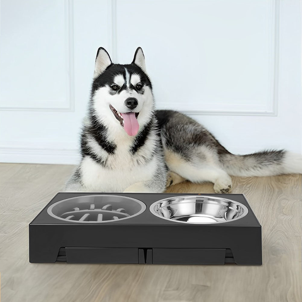 Adjustable Elevated Pet Feeder with Dual Stainless Steel Bowls and Foldable Stand