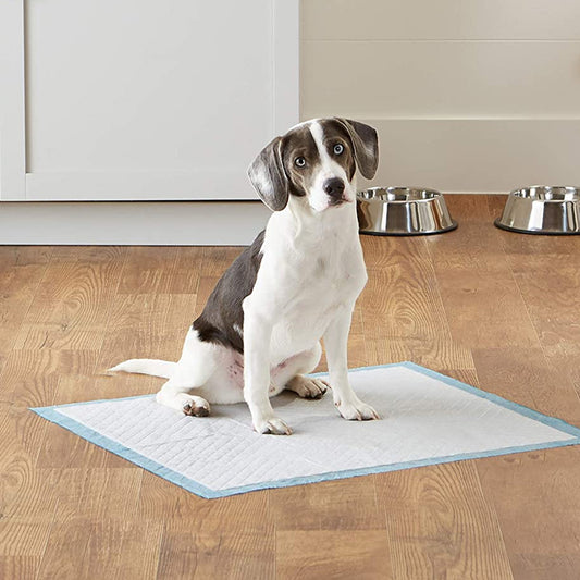 L-Size Disposable Training Pads for Puppies & Cats – 40-Pack, Extra Absorbent