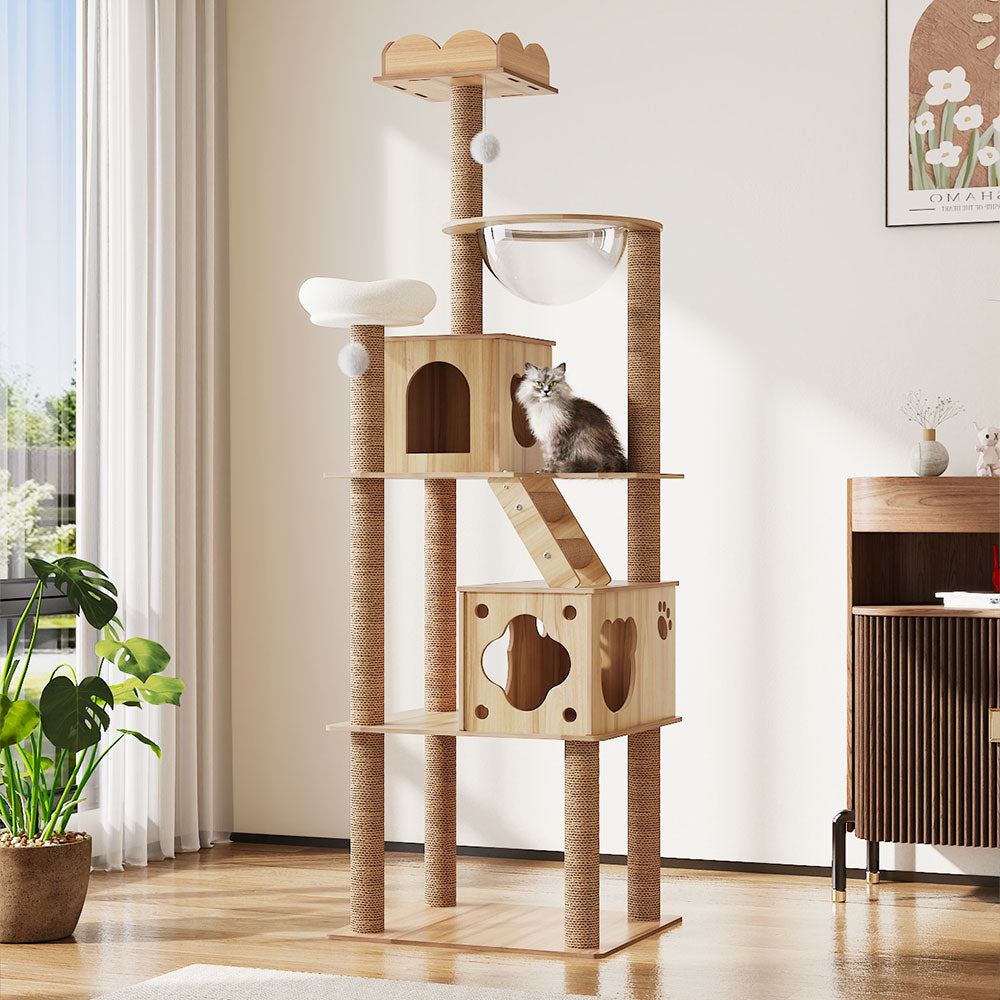 Cat Tree with Perches, Condo & Acrylic Capsule – Sturdy MDF Structure with Hemp Rope Posts – Ideal for Active Cats