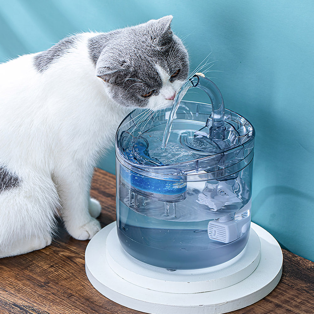 Transparent Automatic Pet Water Fountain – Quiet Circulation with Visible Filtration