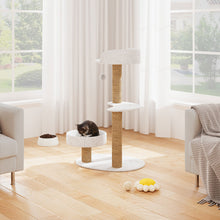 Cat sitting on a multi-level cat tree in a bright living room with large windows.